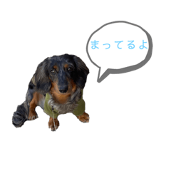 Aoi_20210830190203