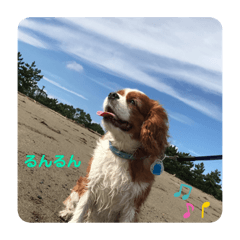 mimi_20210830211824