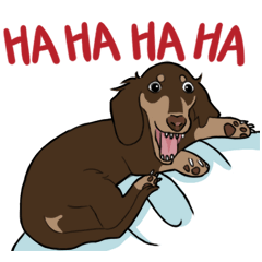 Silly dachshunds