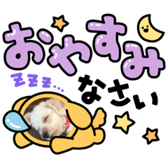 Aoi_20210830210017
