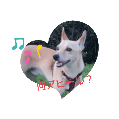 tomomi_20210901121600