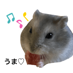 tomomi_20210830231722