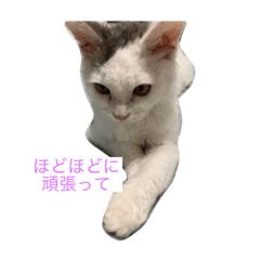 taki_20210901133007