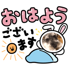 jinjin_20210831003656