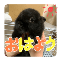 saya_20210831010542