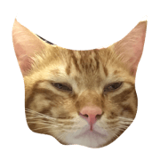 kaineko riku