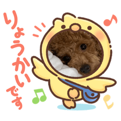 hikari_20210901160755