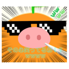 orange_20210831093047