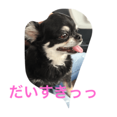 Chichichi!!