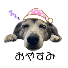 kinaco_20210901180217