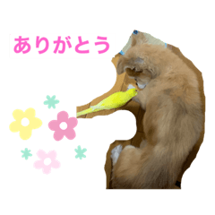 Miki_20210901185102