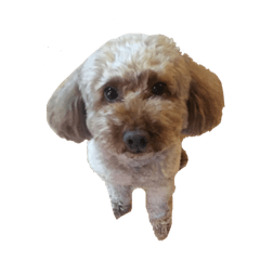 chisa_20210831002840