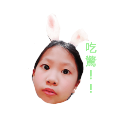 兔兔真人貼圖2代(家庭版