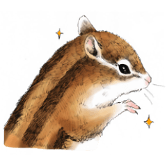 Chewy chipmunk