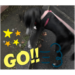 Puku_20210831134059
