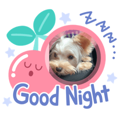 MIZUKI_20210901215342