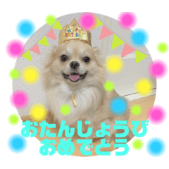 YMR MRN_20210901223313