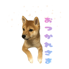 omochi_20210902013055