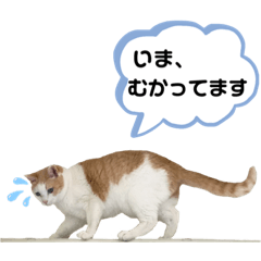 yuka_20210902050732