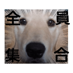 Hana_20210902074834