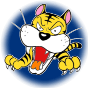 dangerous tiger