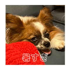 Rina_20210831165855