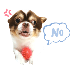 Sirin._20210901212633