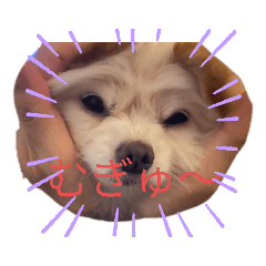 kuu_20210831180811