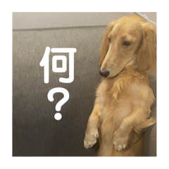 yuka_20210831175716
