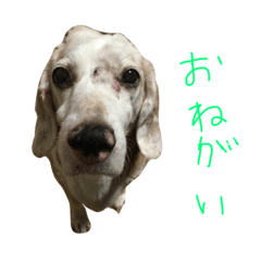 c_20210831185946