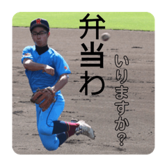 baseball  kodama