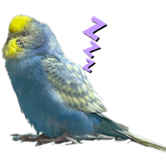 natsumi_20210828145321