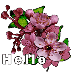 Happy Day with Flowers