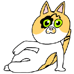 猫のむぎ、