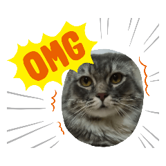MeowMeow_20210902131205