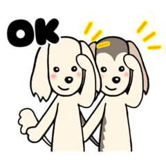 How Spark & Crane feel