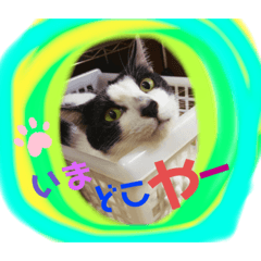 h.t_20210902155114