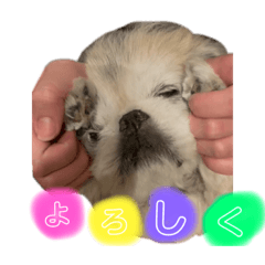 panda_20210902182150