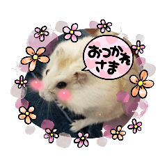 yuka_20210902153338