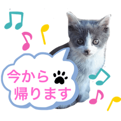 Asako_20210831190105