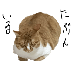 momoko_20210831225811