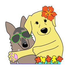 Lucky Dogs : LAB & G-Shepherd in Hawaii