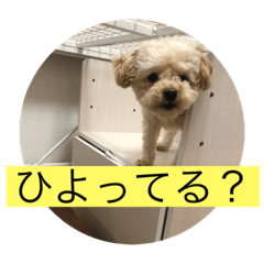Monaka_20210831233708