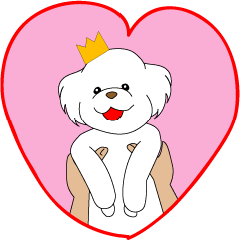 Princess Toy Poodle of Swingless Eyes