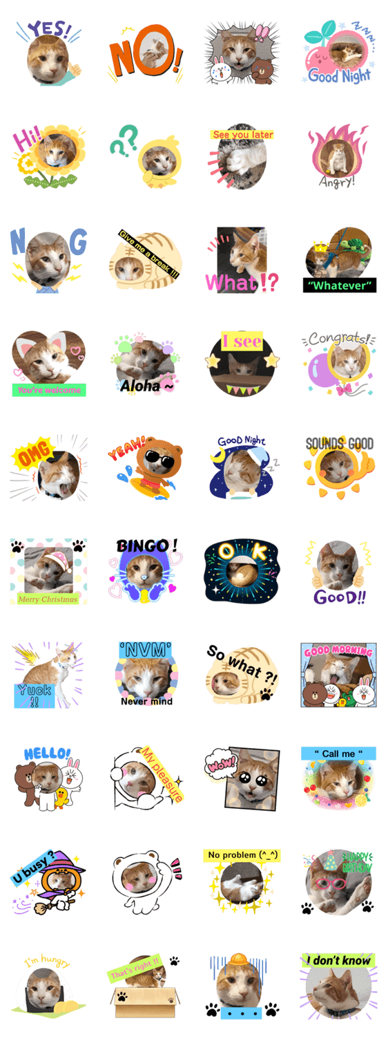 子猫スタンプ 英語でお返事 Lineクリエイターズスタンプ Stamplist 子猫スタンプ 英語でお返事 Lineクリエイターズスタンプ Stamplist