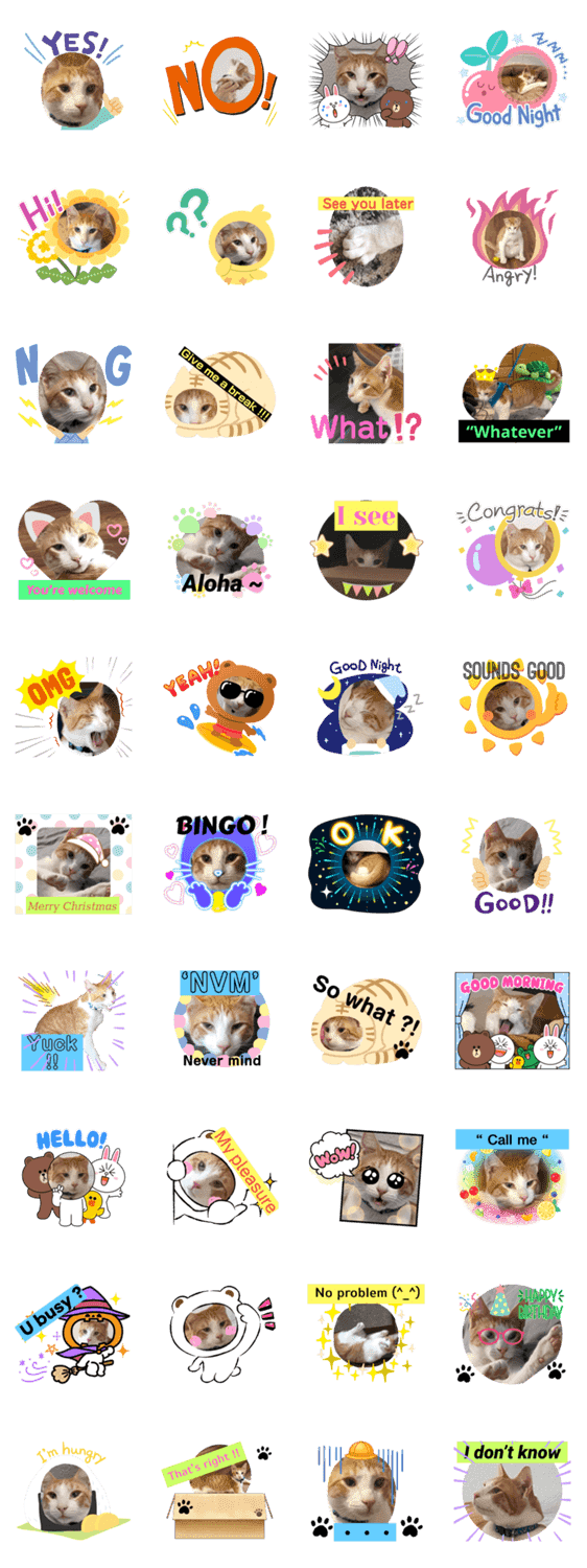 子猫スタンプ 英語でお返事 Lineクリエイターズスタンプ Stamplist