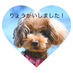 Hana_20212033
