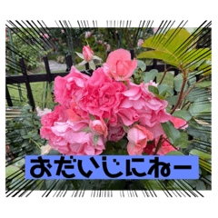 akiko_20210902145044