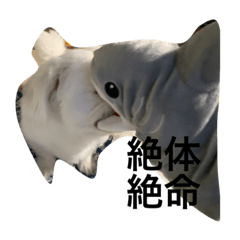 yukari_20210831191512