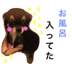 _Chuchu